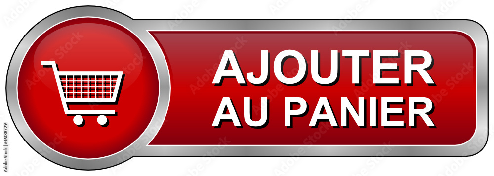AJOUTER AU PANIER IN ENGLISH TRANSLATION visual data 6