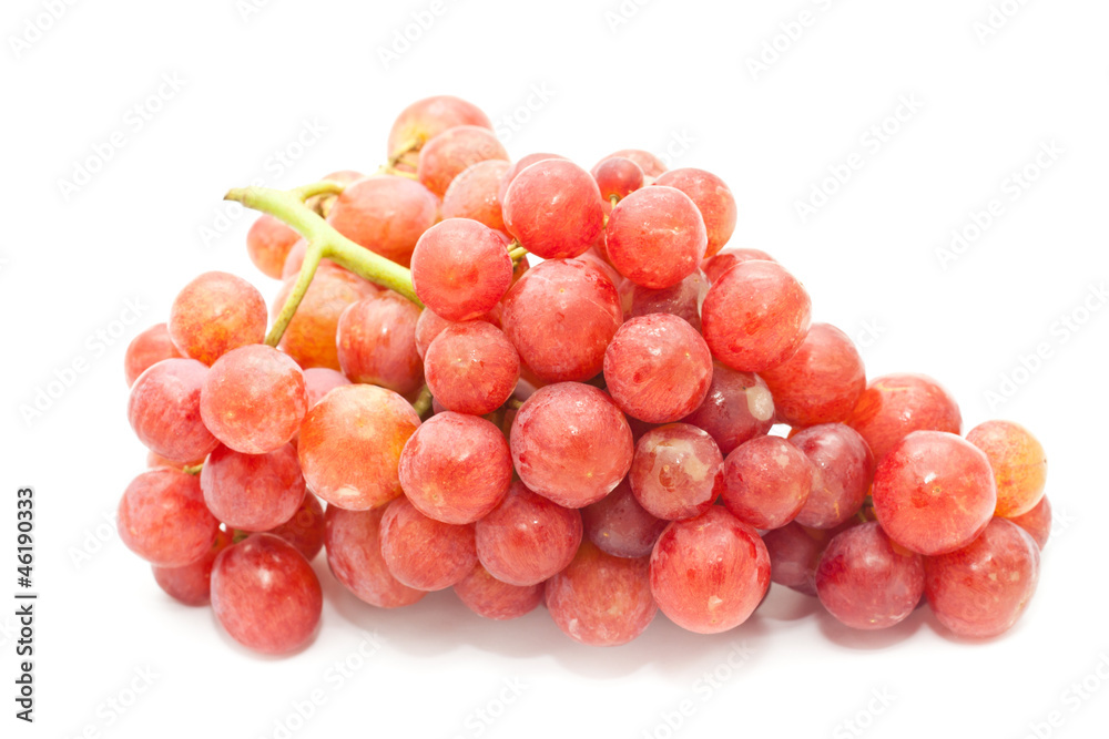 Fototapeta premium Grape