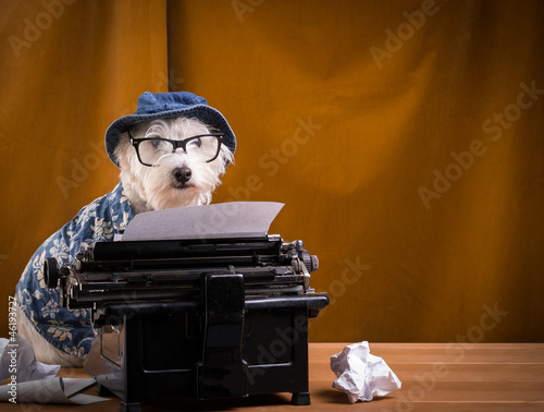 Author Dog