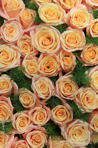 Fototapeta Naklejka Na Ścianę i Meble -  yellow pink roses in sunlight