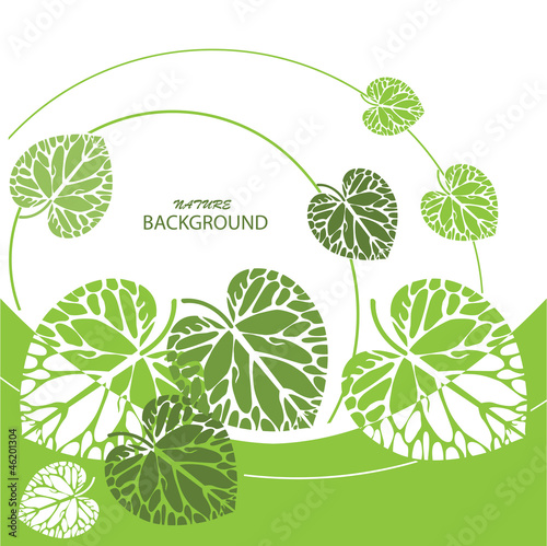 Green leaves background, vector illustration