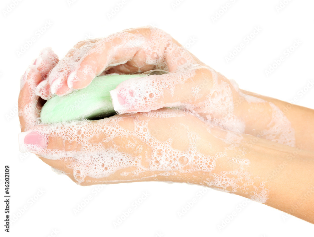 Woman's hands in soapsuds, on white background close-up Woman's hands in soapsuds, on white background close-up