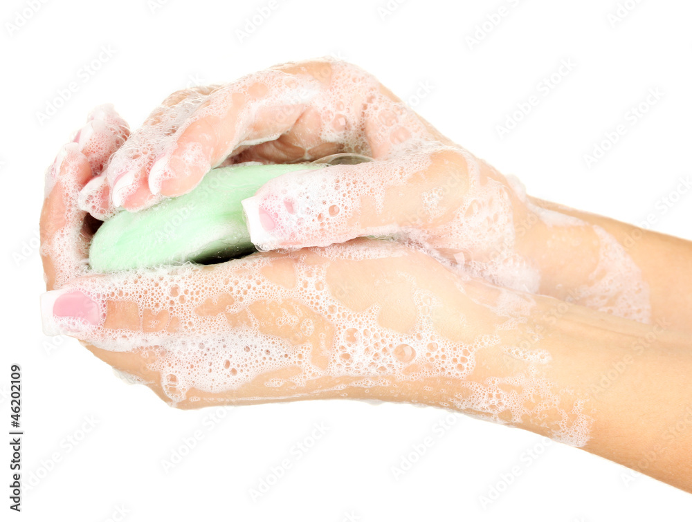 Woman's hands in soapsuds, on white background close-up