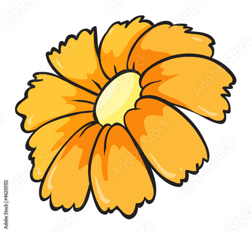 a flower