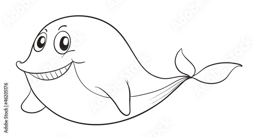 a fish