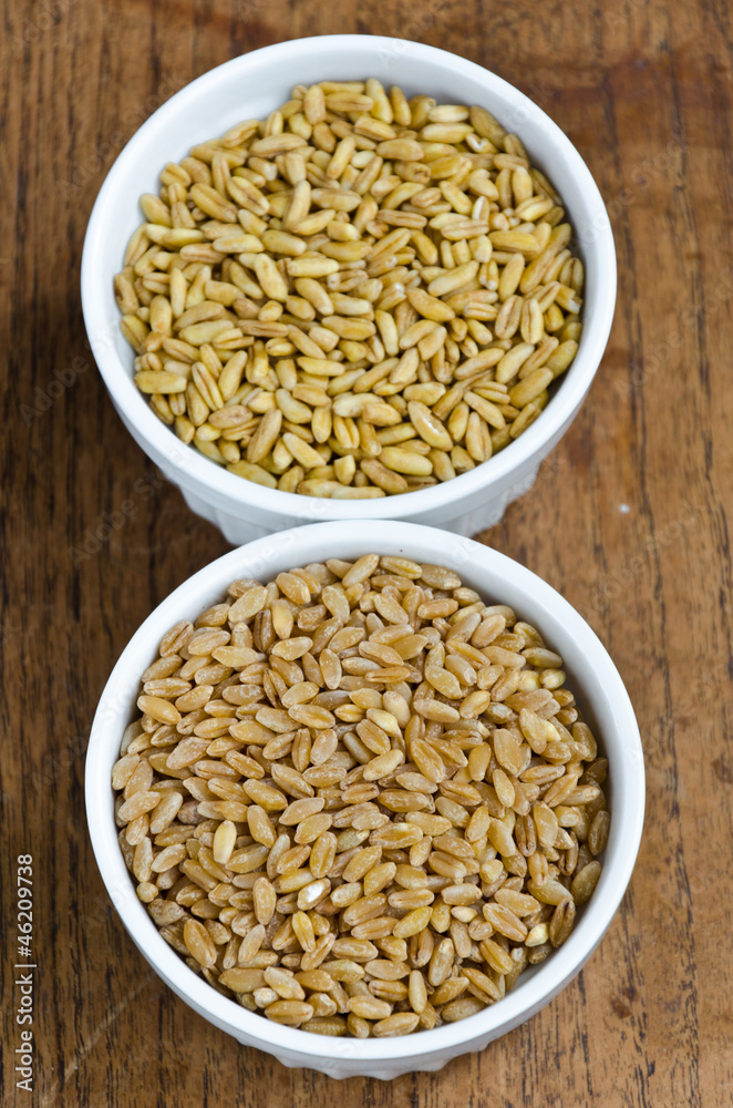 Kamut And Wheat Kamut And Wheat