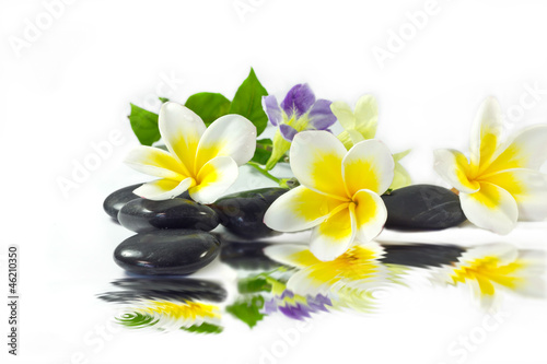 Spa stones and frangipani yellow