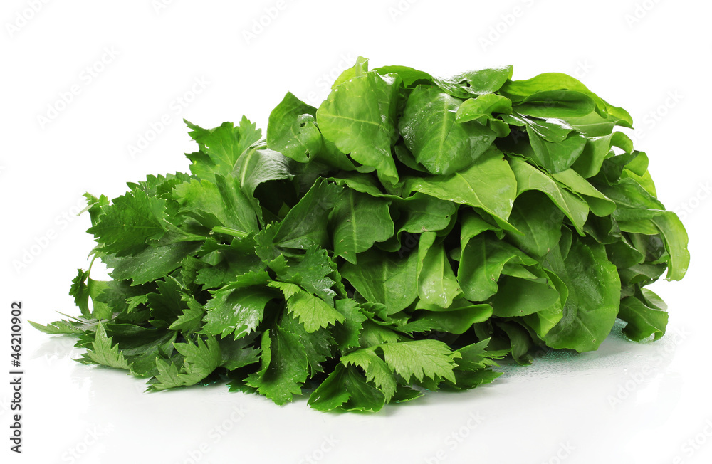 Fresh herbs isolated on white Fresh herbs isolated on white