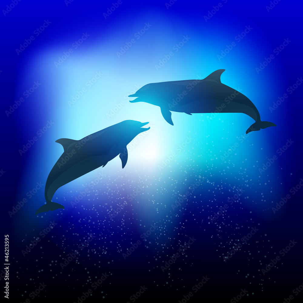 Vetor Dolphins Vetor Dolphins