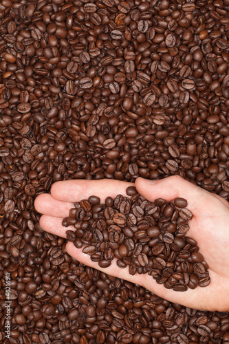 Kaffeebohnen auf einer Hand