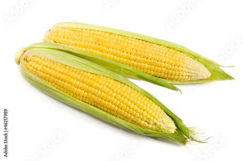 Sweet corn isolated on the white