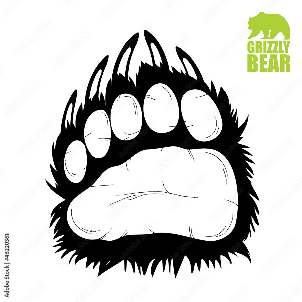 Fototapeta premium Bear paw - vector illustration