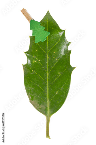 Small clothes pin with a christmas tree on a leaf (butchers broo photo