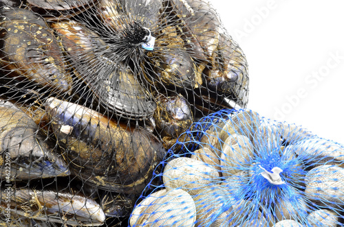 mussels and clams in two net bags