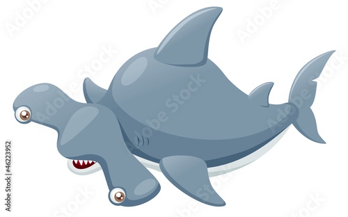 illustration of Hammerhead shark