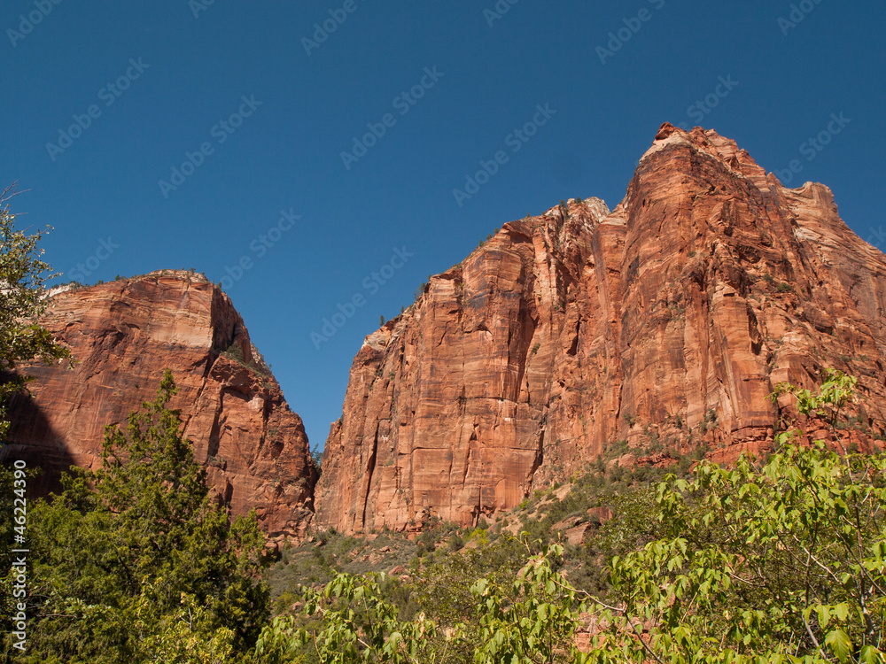 Fototapeta premium Falaise de grès rouge dans le parc national du Zion