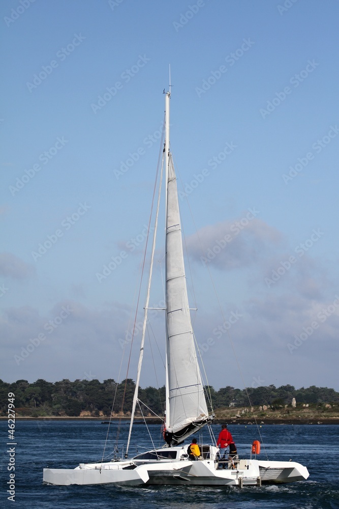 Naklejka premium navigation à la voile dans le golfe du morbihan