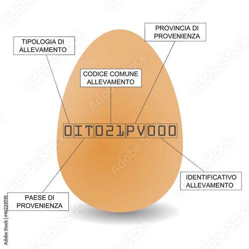 La carta d'identità dell'uovo photo