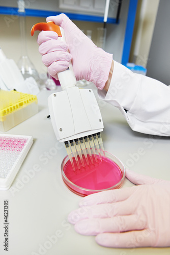 Hands of scientist with Dropper at laboratory photo