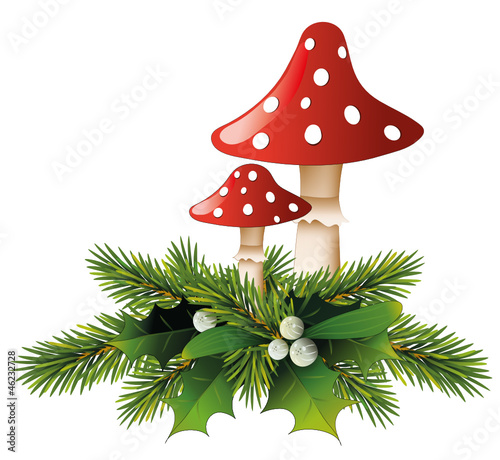 Pilze mit Mistel- und Tannen-Zweige