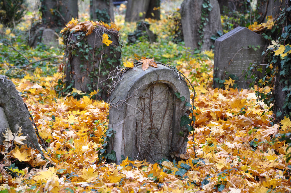 Fototapeta premium Zentralfriedhof