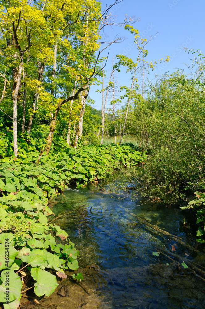 Plitvice Lakes National Park, Croatia Plitvice Lakes National Park, Croatia