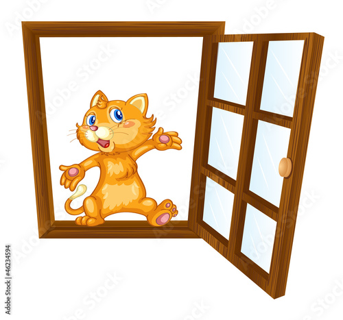 a cat
