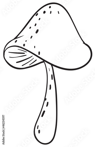 a mushroom sketch