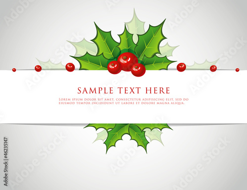 Holly christmas branch back