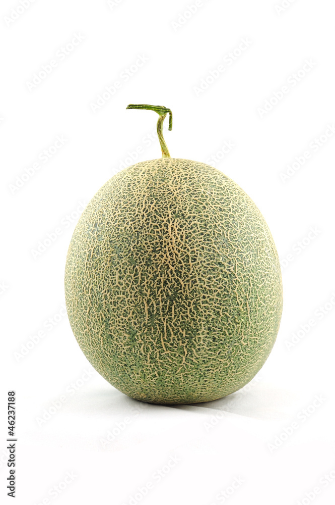Cantaloupe