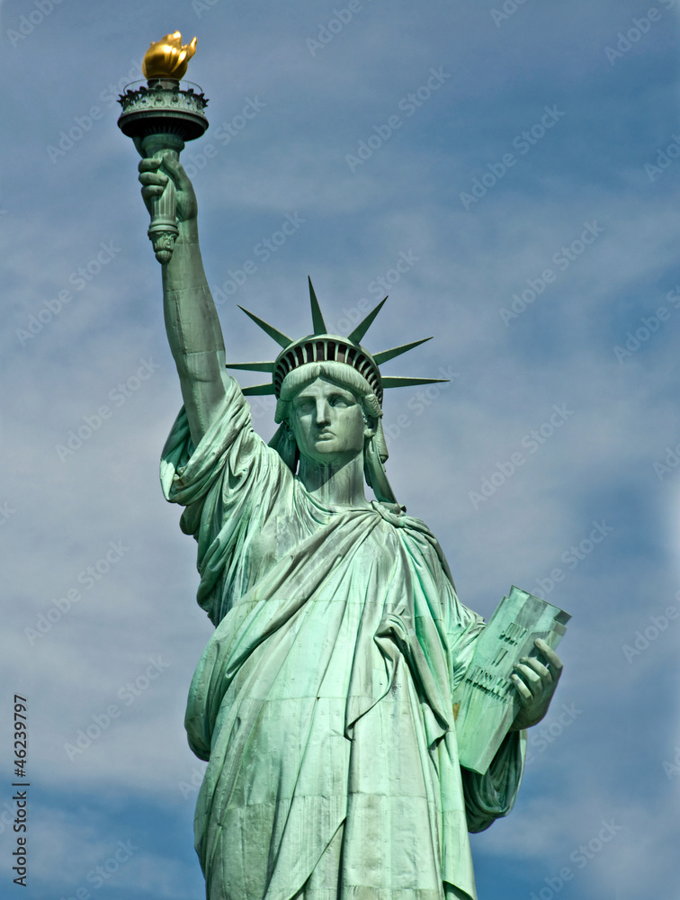 Fototapeta premium Statue of Liberty - New York