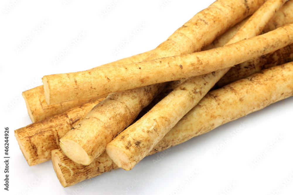 burdock burdock