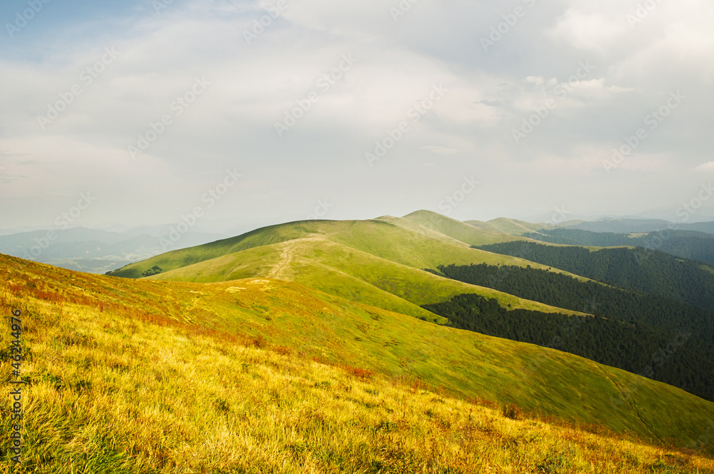 Summer mountains panorama