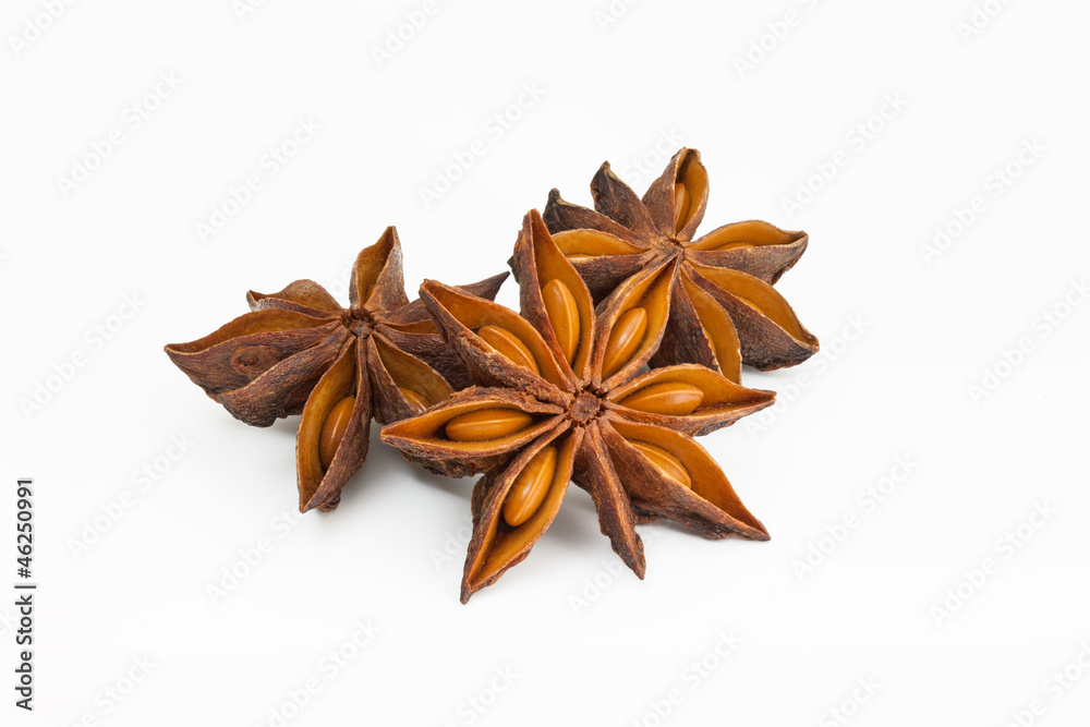 Sternanis Sternanis
