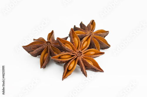 Sternanis