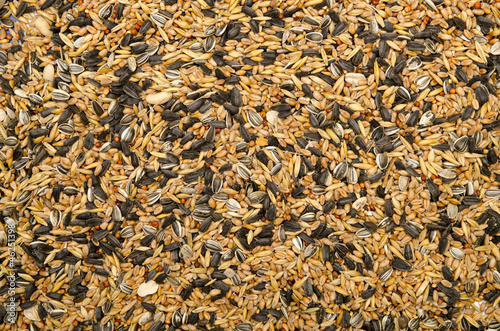 birdseed