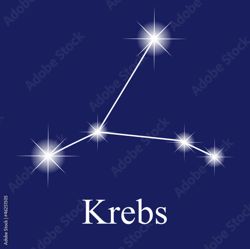 Krebs