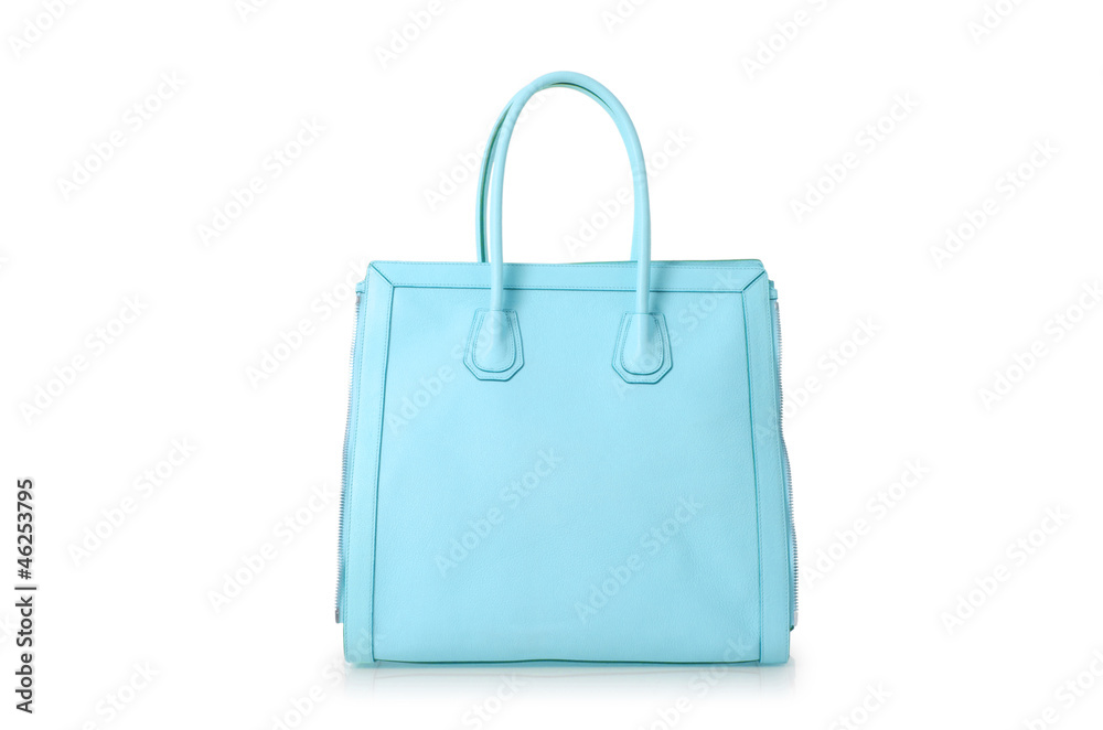 Elegant woman bag isolated on white Elegant woman bag isolated on white