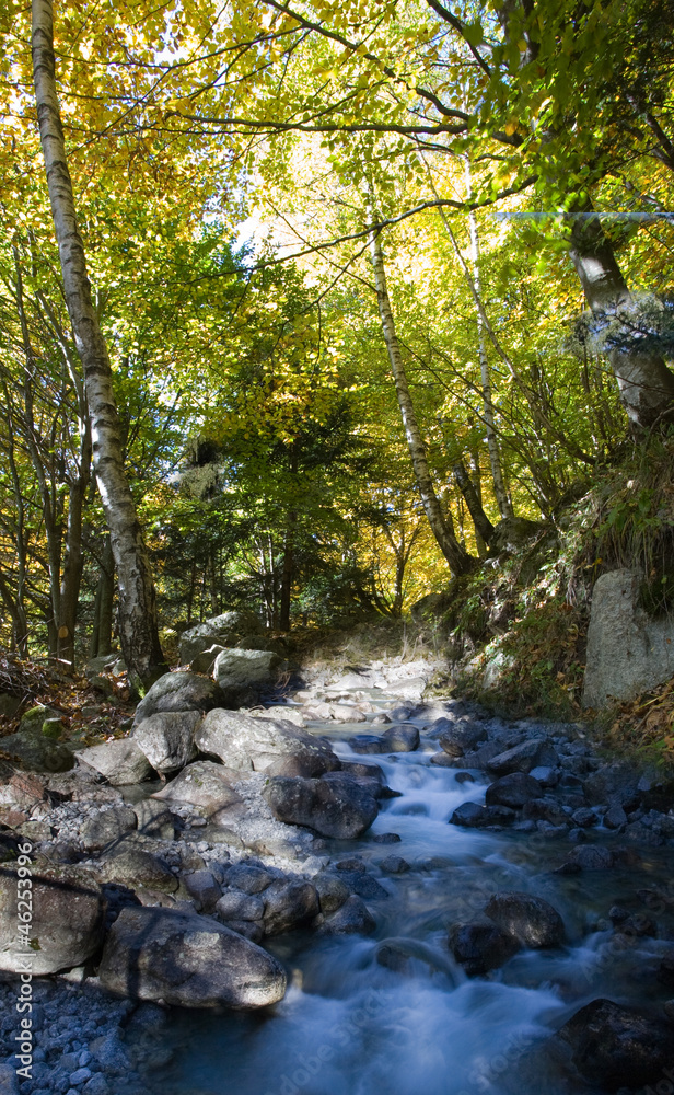 Cascate nel bosco