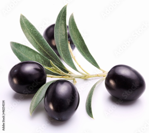 Ripe black olives with leaves.