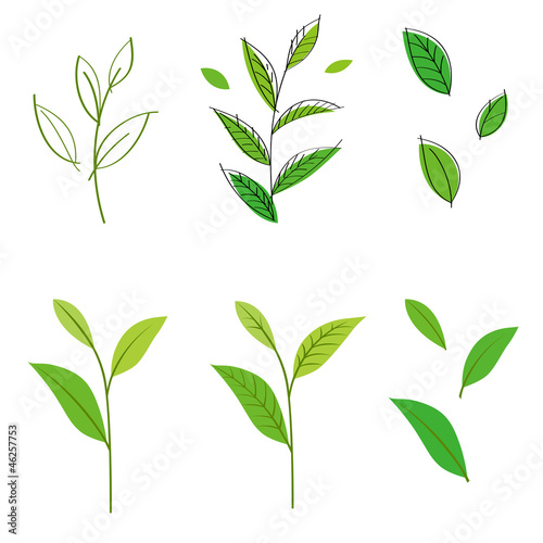 茶葉