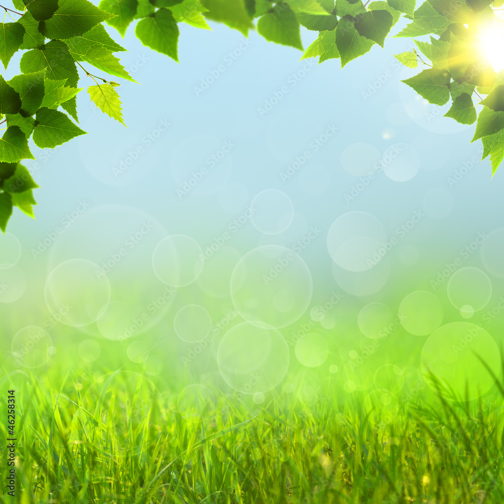 Obraz premium Abstract natural backgrounds with beauty bokeh for your design