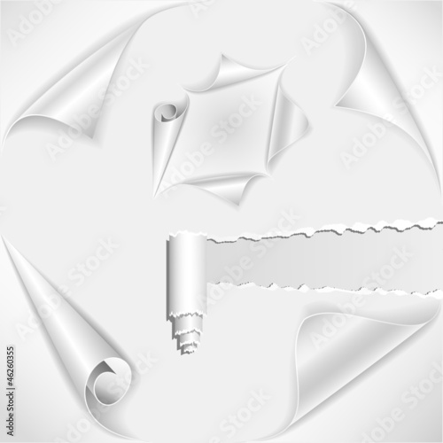 Rolled and torn paper pages eps10 vector illustration