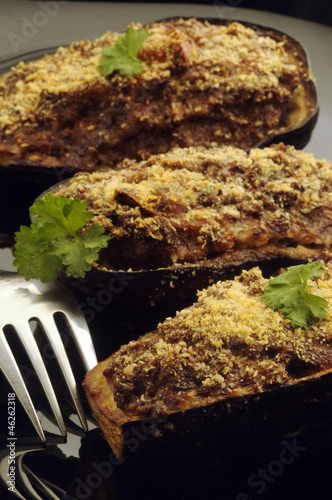 Berenjena Melanzana Aubergine 茄子 باذنجان