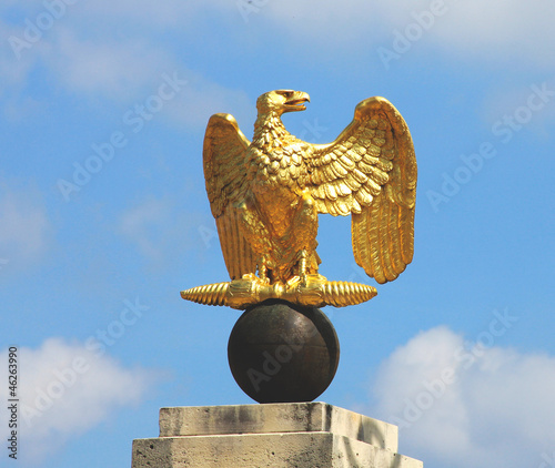 Golden Napoleon Eagle