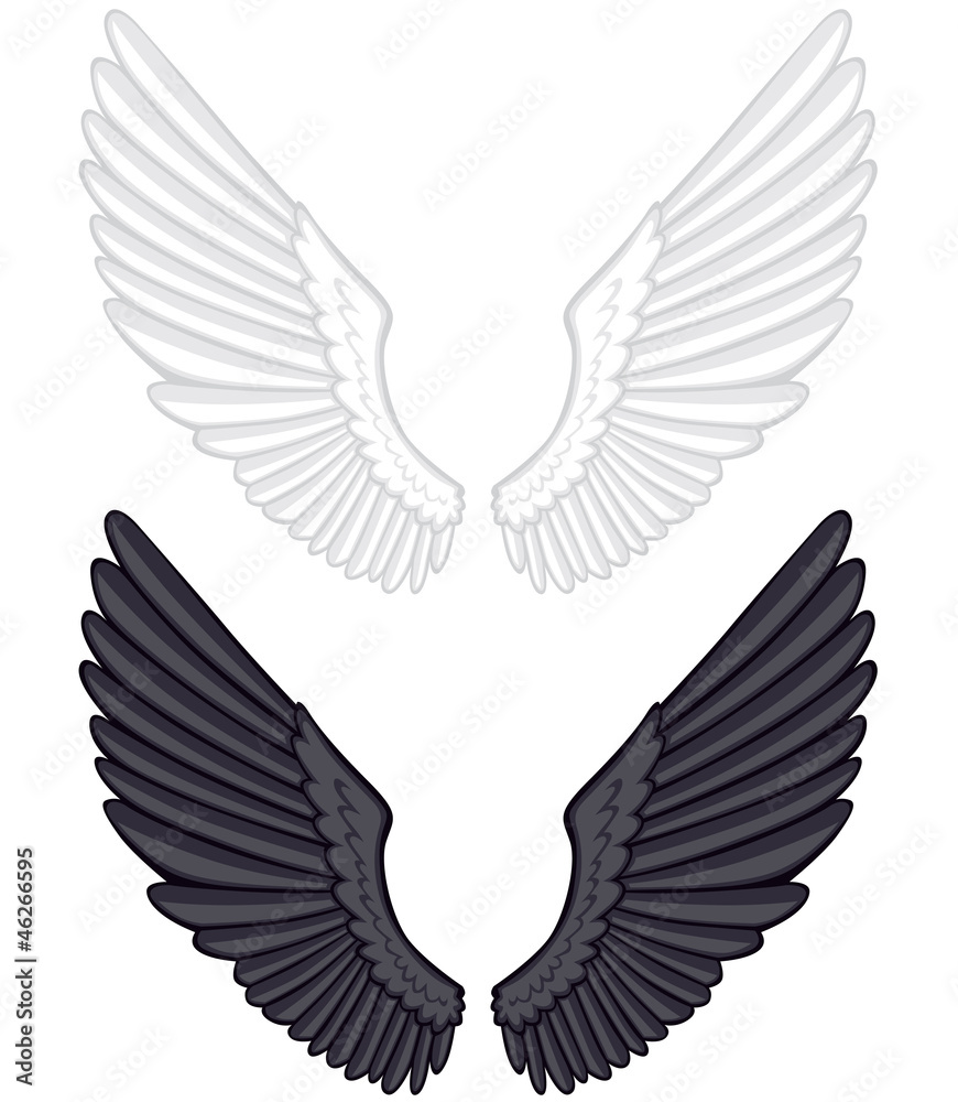 Obraz premium spread wings