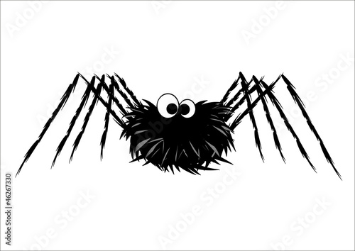 Cute spider