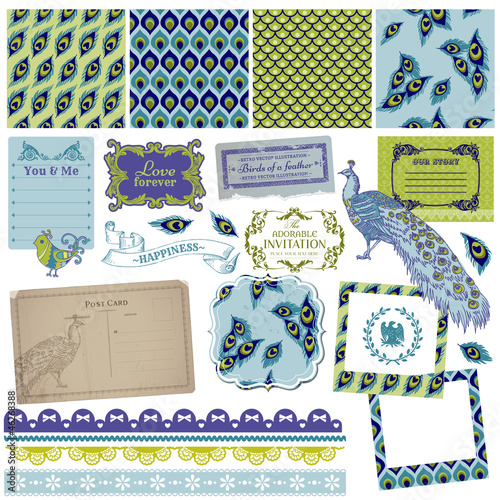 Scrapbook Design Elements - Vintage Peacock Feathers - in vector