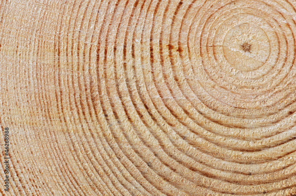 Wooden texture Wooden texture