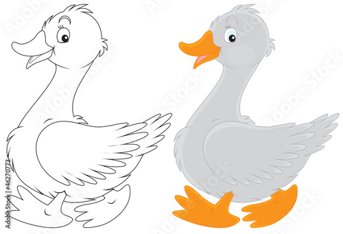 Goose